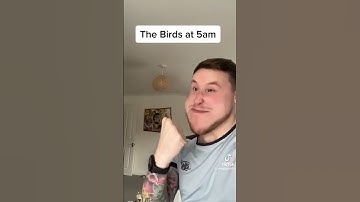 The birds at 5am 😂😂