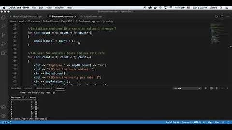 Using Arrays to Store User Input Employee Data  - C++