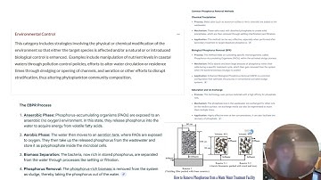 Algae bloom mitigation options