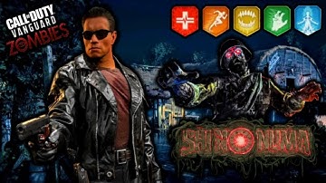 *THE TERMINATOR* IN CALL OF DUTY ZOMBIES!! (SHI NO NUMA HIGH ROUND GAMEPLAY NO COMMENTARY) VANGUARD