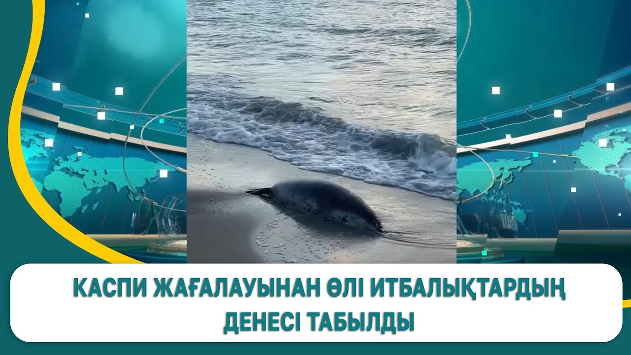 Жас кеуделі сұлулық Исис Махаббат өзінің жас денесінде қара құбыжық әтешін алады Жас кеуделі сұлулық Исис Махаббат өзінің жас денесінде қара құбыжық әтешін алады