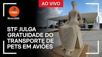 Ao vivo: STF julga gratuidade do transporte de pets em aviões