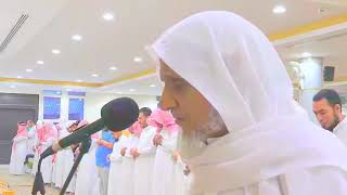 The most wonderful recitations of Sheikh Ahmed Khalil Shaheen humbled recitations Listen to reassure