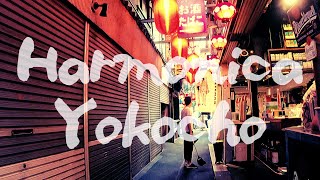 Kichijoji Harmonica Yokocho Daytime Walking #ハモニカ横丁