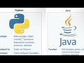 Did you know: Python is older than Java