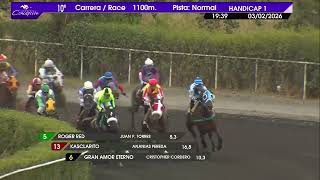 Vidéo de la course PMU FIJATE CABRO