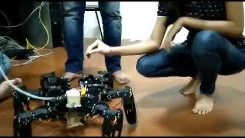 HEXAPOD Obstacle Detection