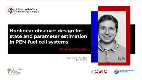Nonlinear observer design for state and parameter estimation in PEM fuel cell systems.