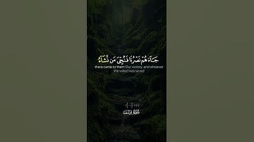افضل صوت لتلاوة القران #سورة_يوسف #سورة_الكهف #سورة_الواقعة #سورة_النور #سورة_الزمر #سورة_الملك