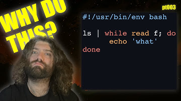 Listing and Looping Files (again) in Bash - You Suck at Programming #003
