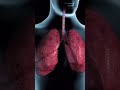 Tuberculosis tb symptoms symptoms tb