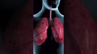 Tuberculosis (TB) Symptoms #symptoms #tb