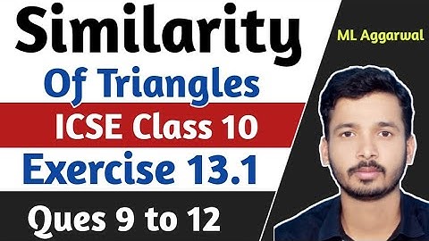 Similarity ICSE Class 10 | ICSE Class 10 Chapter 13 Ex 13.1 ( Q.9, to 12 ) | Exercise 13.1