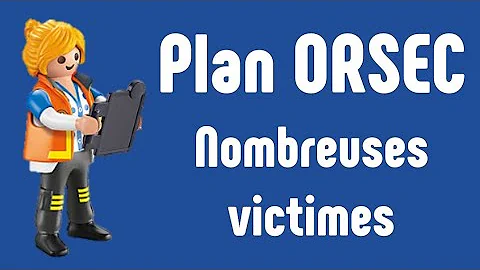 Qui déclenche le plan Orsec Novi ?