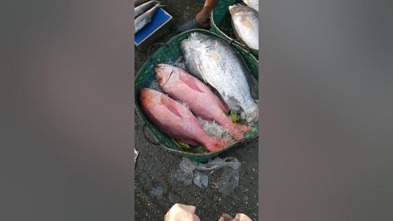 Fresh fish near me Shorts YouTube