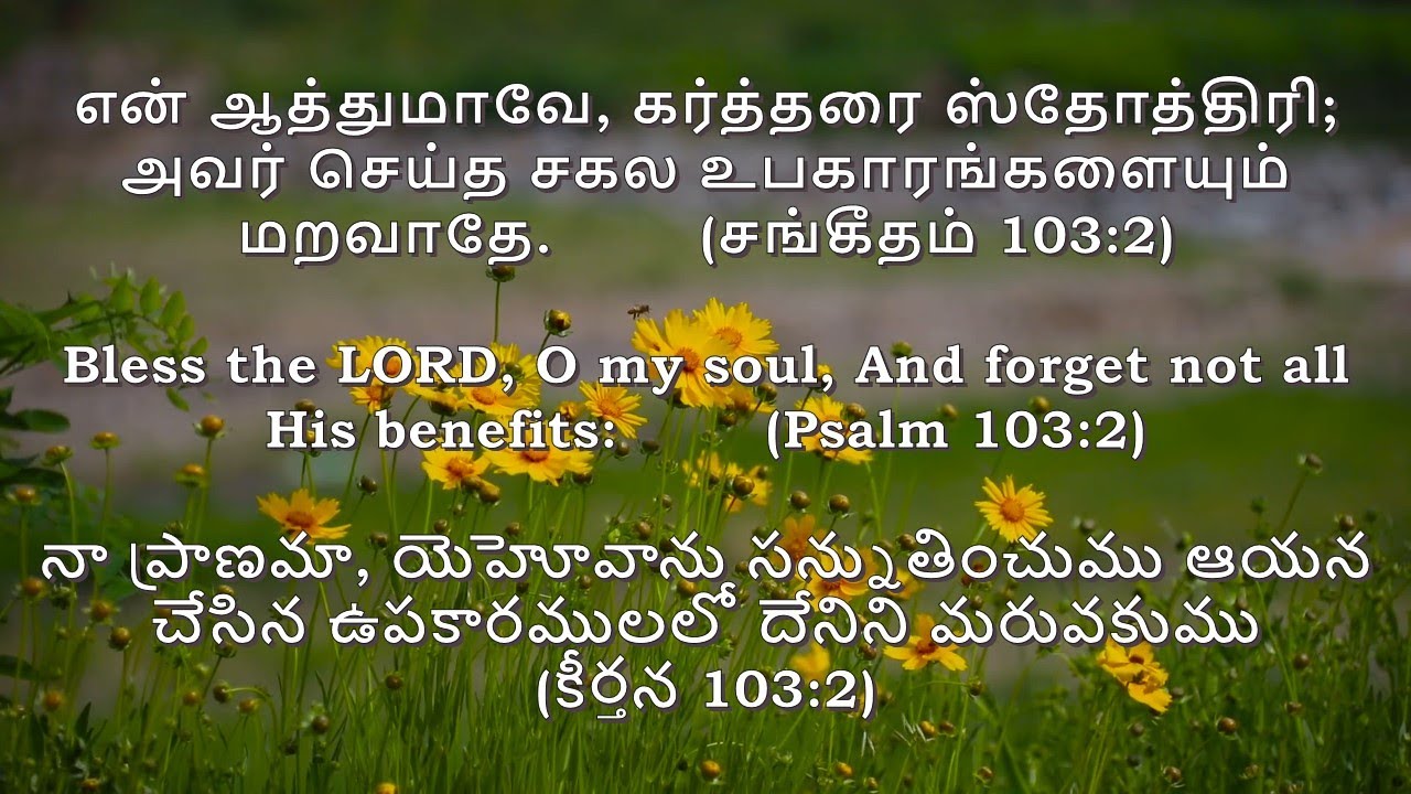 9-7-2021|Word of Life|Daily Bible verse in Tamil|English|Telugu ...