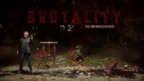 Mortal Kombat 11 The Terminator Future Assassin Brutality
