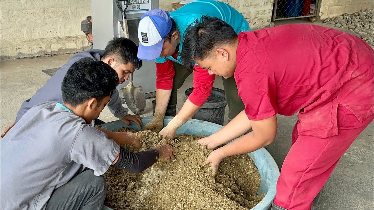 ⁣Good news sa mga small goat raisers: May Alternative na sa  mahal na Pellet feeds