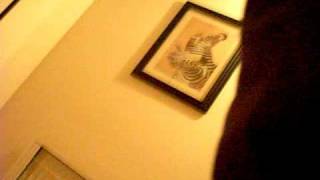 DSCF0340