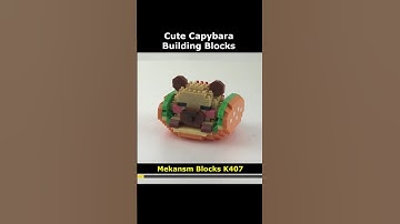 Capybara K407 Blocks Preview #Capybara #Mekansm #K407 #Lego #MiniBlock #NanoBlock