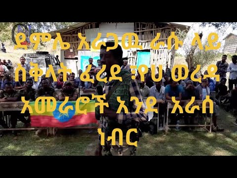 ደምሌ አራጋዉ አ ራሱ ላይ ሰቅላት ፈረደ የሀ ወረዳአመራሮች አንደ አራስ ነብር