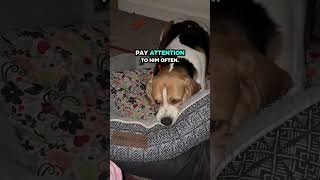 He Needed Love To Go Back To Sleep Lol My Baby Boy Bubba