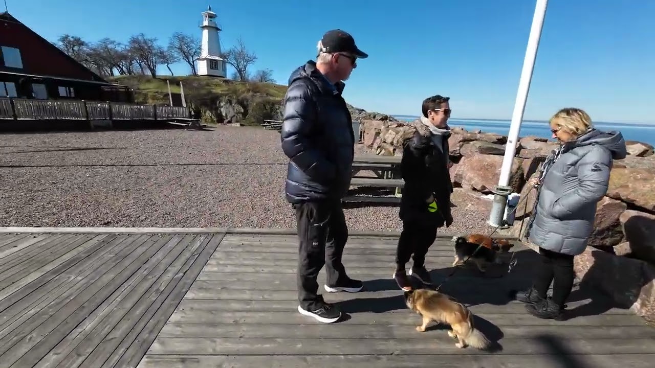 Hästholmens ställplats