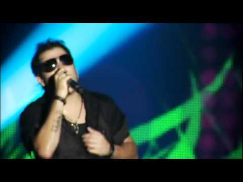 TOMATE DVD ATITUDE - Girassol