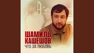 Шамиль Кашешов - Что за любовь