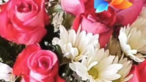 سورة يس،، الشيخ صلاح بو خاطر