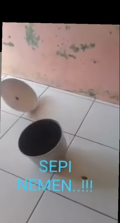 Story wa untuk grup sepi 😂😂