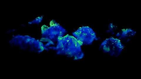 Powerful images reveal how immune cells patrol to keep us healthy