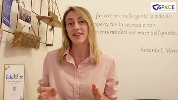 SPACE (Seniors Perceive a Common Europe) – Experiences made by Project Partners