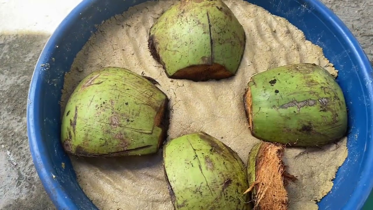  Cách nuôi  đuông tại nhà LH 0335708172