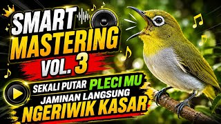 SMART TERAPI PLECI 🔥Klik Putar Kan Audio Ini Langsung Gacor Dan Ngeriwik Kasar
