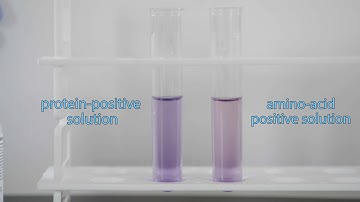 How to Interpret Biuret Color Change