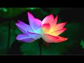 Chakra Peaceful Meditation Music | Unblock & Heal In 1 Hour | Aura Cleansing & Balancing Chakra