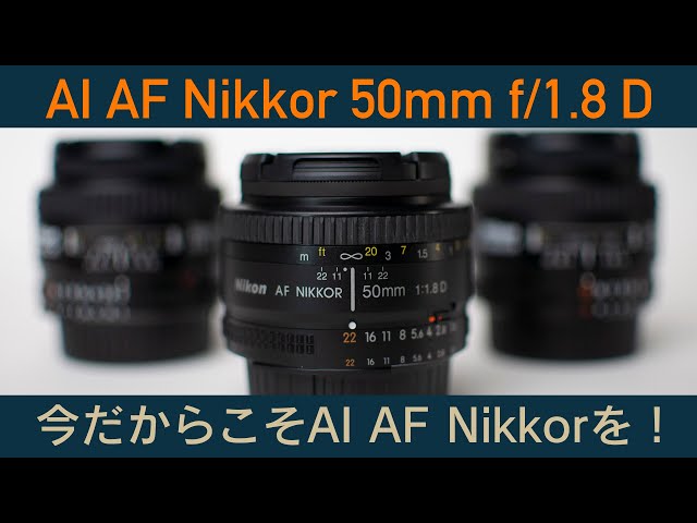 今だからこそAI AF Nikkor！ 「50mm f/1.8Dを購入」〜AI AF Nikkorレンズを選んだ理由〜