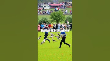 The Unbelievable World of Competitive Duck Herding