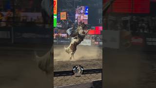 Luis Pratula vs "La Mayonesa" de Eleicegui #jesusmaria #jineteadas #traditional #horse