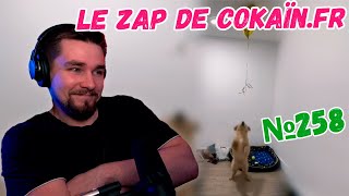 РЕАКЦИЯ ДИКТОРА | Le Zap de Cokaïn.fr n°258