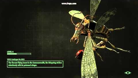 Immersive Fast Travel