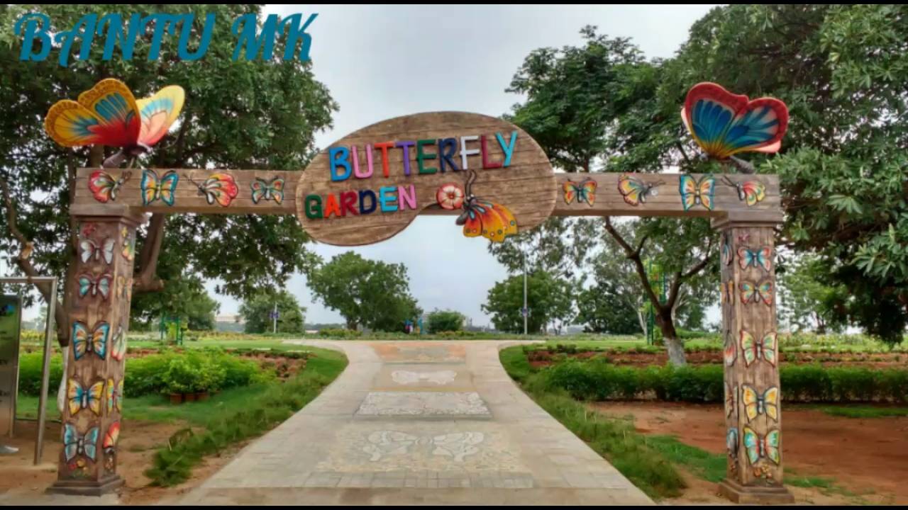 Sanjeevaiah Park Butterfly Garden YouTube