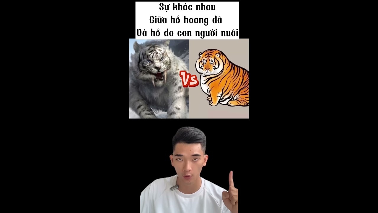 Xem Cân Lượng Tử Vi - Khám Phá Sự Thú Vị Và Ý Nghĩa