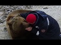 Любите животных! Их любовь - самая искренняя!💓/Bear Mansur