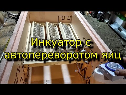 Инкубатор для яиц автоматический своими руками