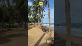 Lusine De Phosphate Au Togo Otp Plage Kpemé