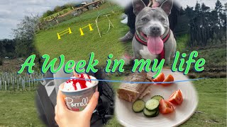 A WEEK IN MY LIFE | Dog park | Dog Mum | Puppy | Boyfriend | Food