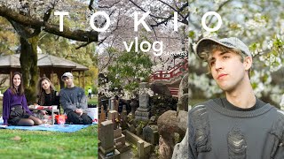 PRIMAVERA EN JAPÓN | SAKURAS | HANAMI | vlog