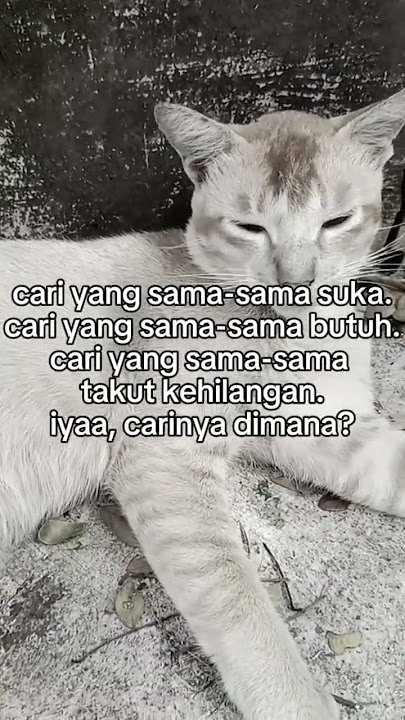 bahan sw mu #story #jalanyangjauhjanganlupapulang